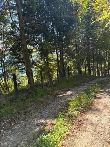 Gravel path lined with mature trees and post-and-wire fencing
