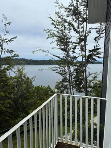 Outdoor balcony featuring a white metal railing and direct water exposure with mature tree landscape