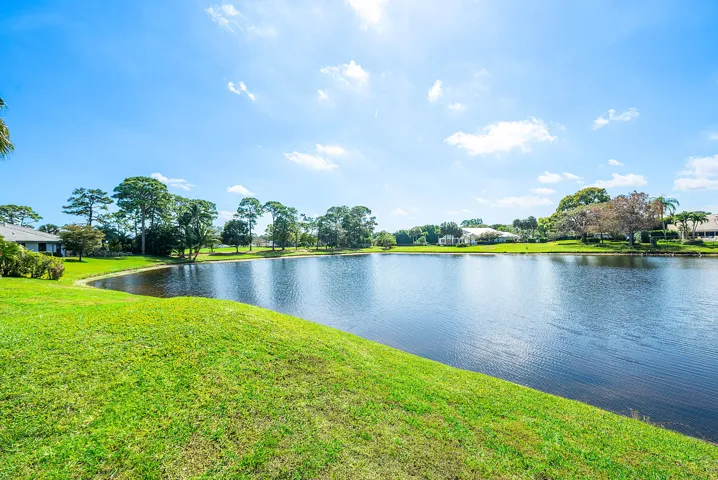 Lake Views