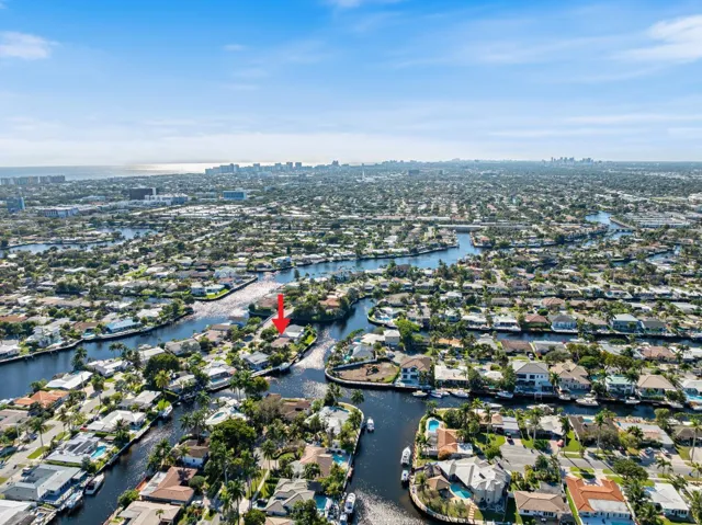 AERIAL