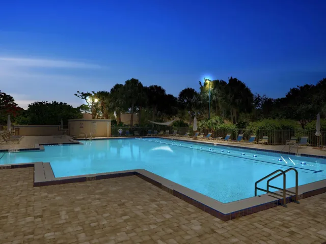 Nighttime Swimming
