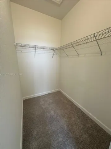 Storage area featuring wall-to-wall carpeting and installed wire shelving