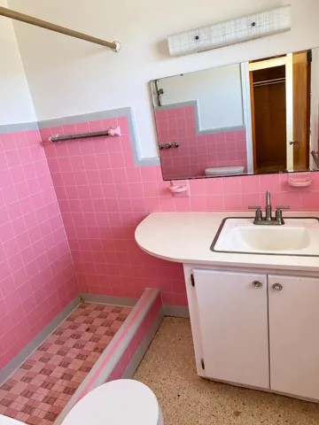 Retro hall bath