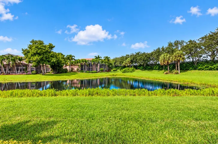 Lake view