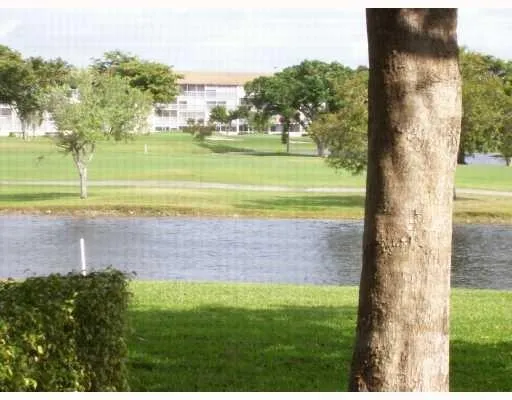 Lake view from Patio