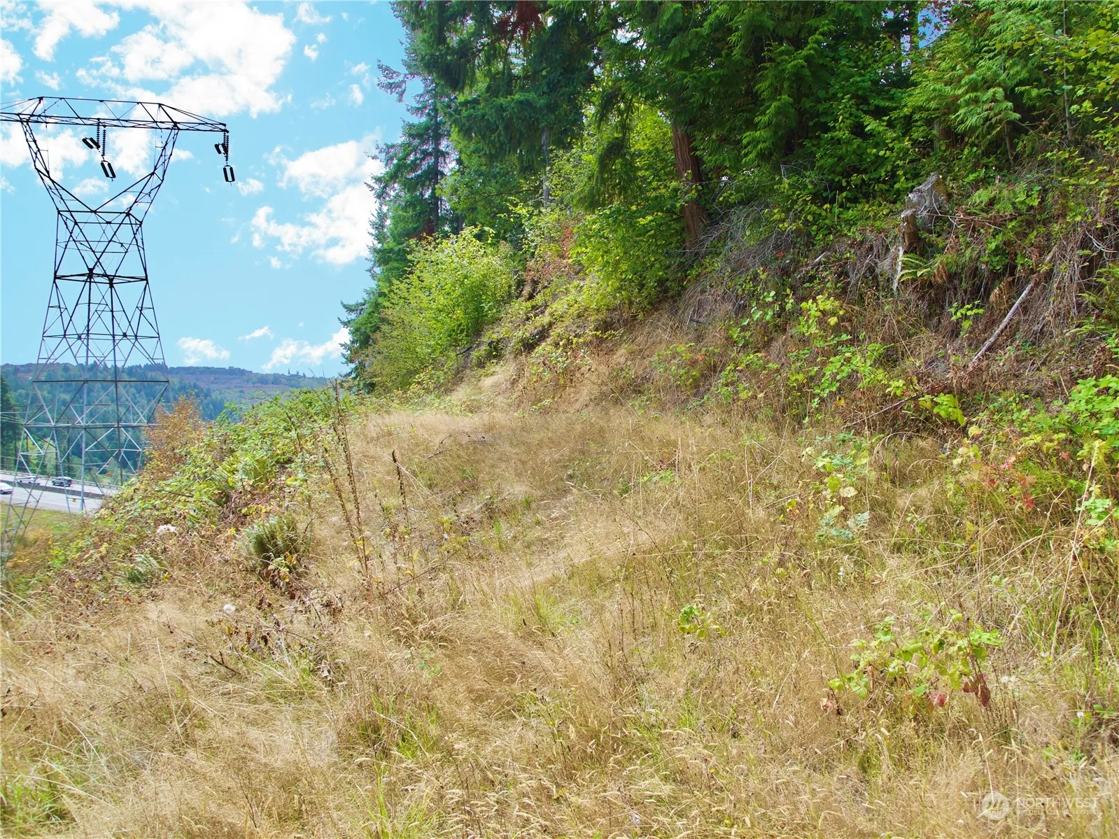 Property photo for 17233 State Route 410 W, Bonney Lake photo 3
