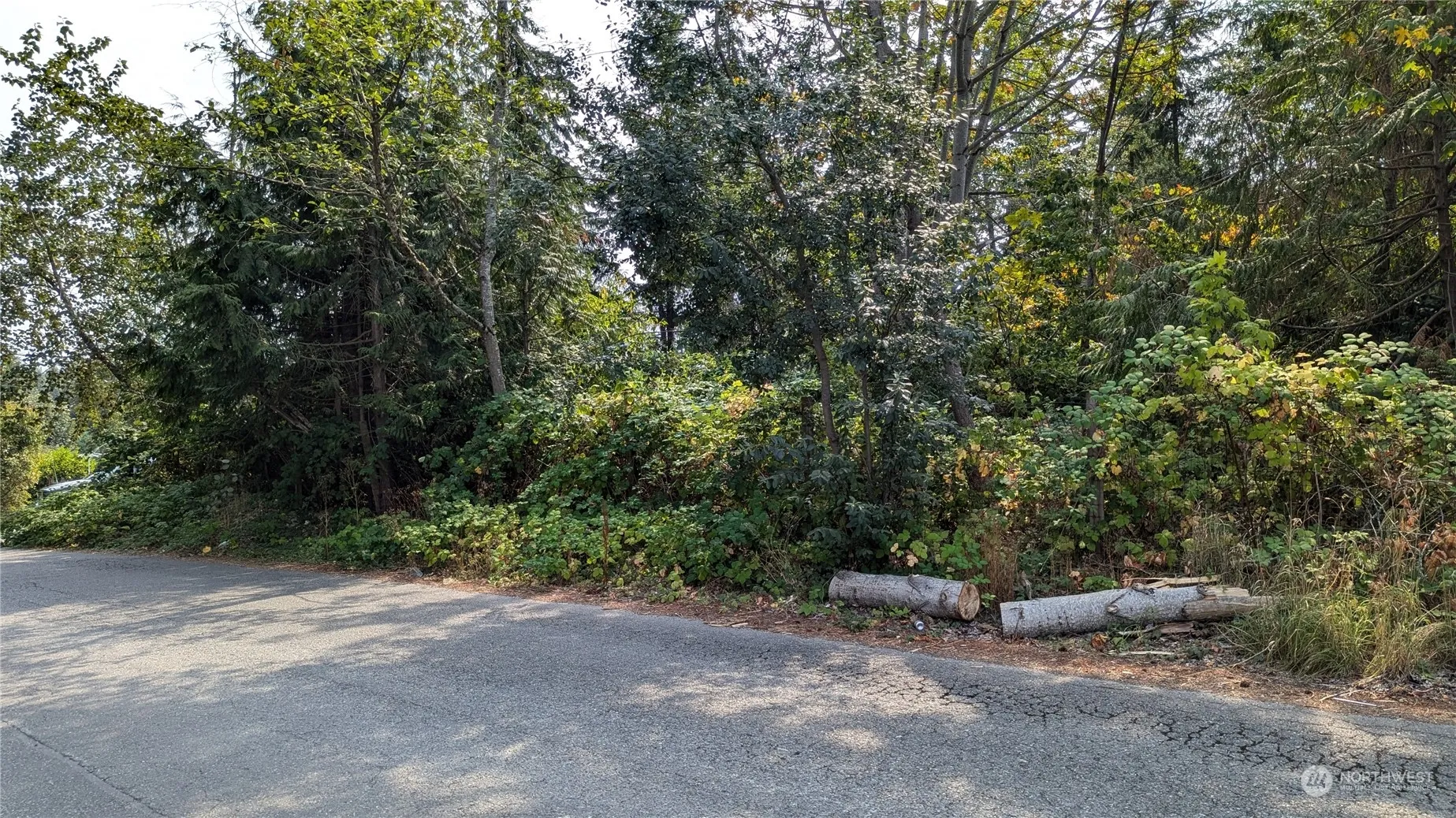 Property photo for 21512 101st Street, Bonney Lake photo 3