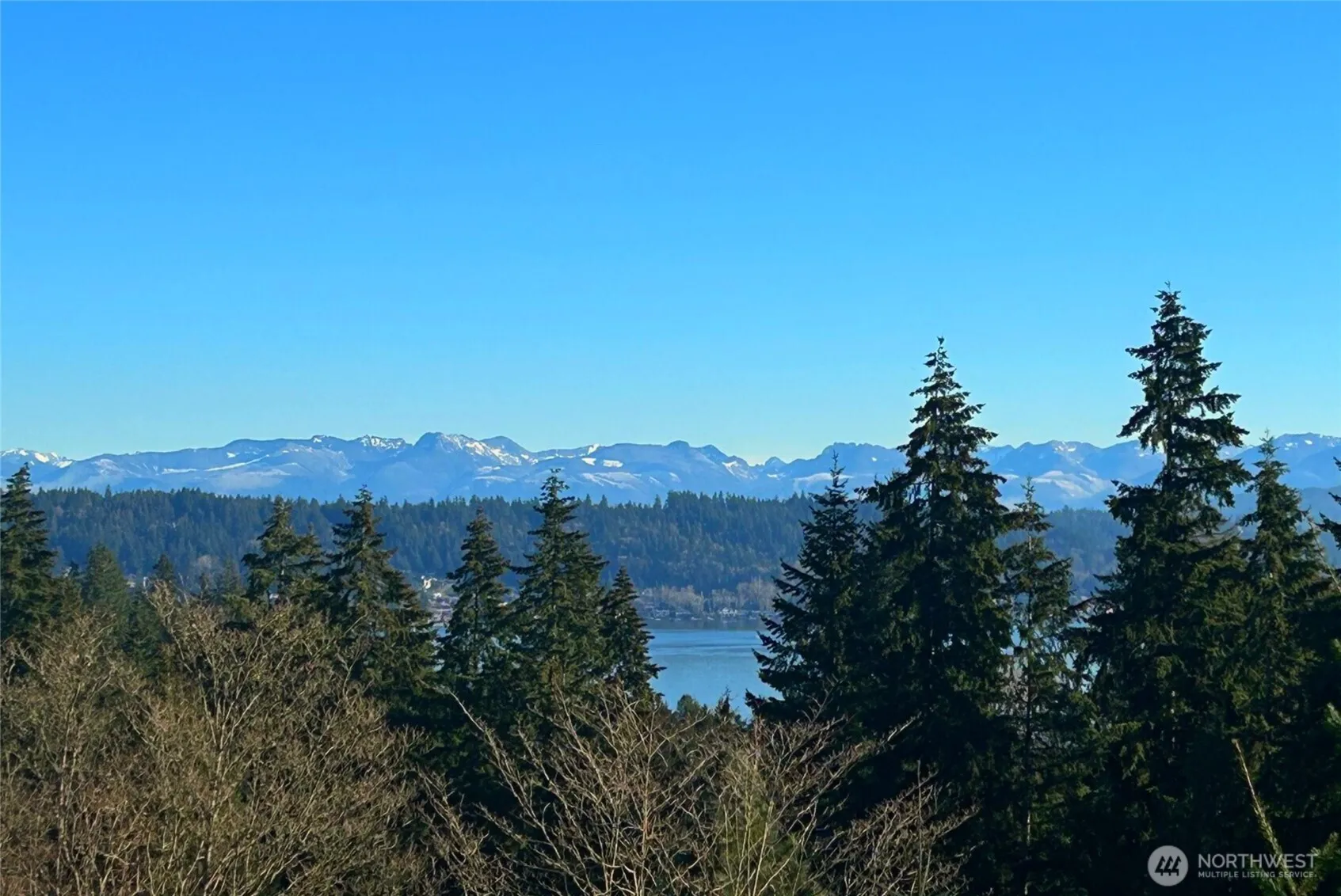 3424 161st Court Se #43, Bellevue