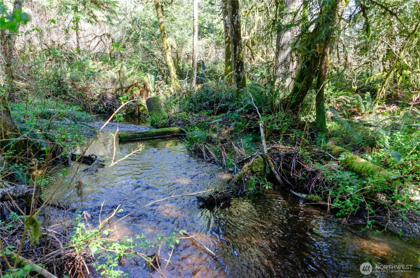 Property photo for 1 Xxx 144th Street Nw, Gig Harbor photo 5