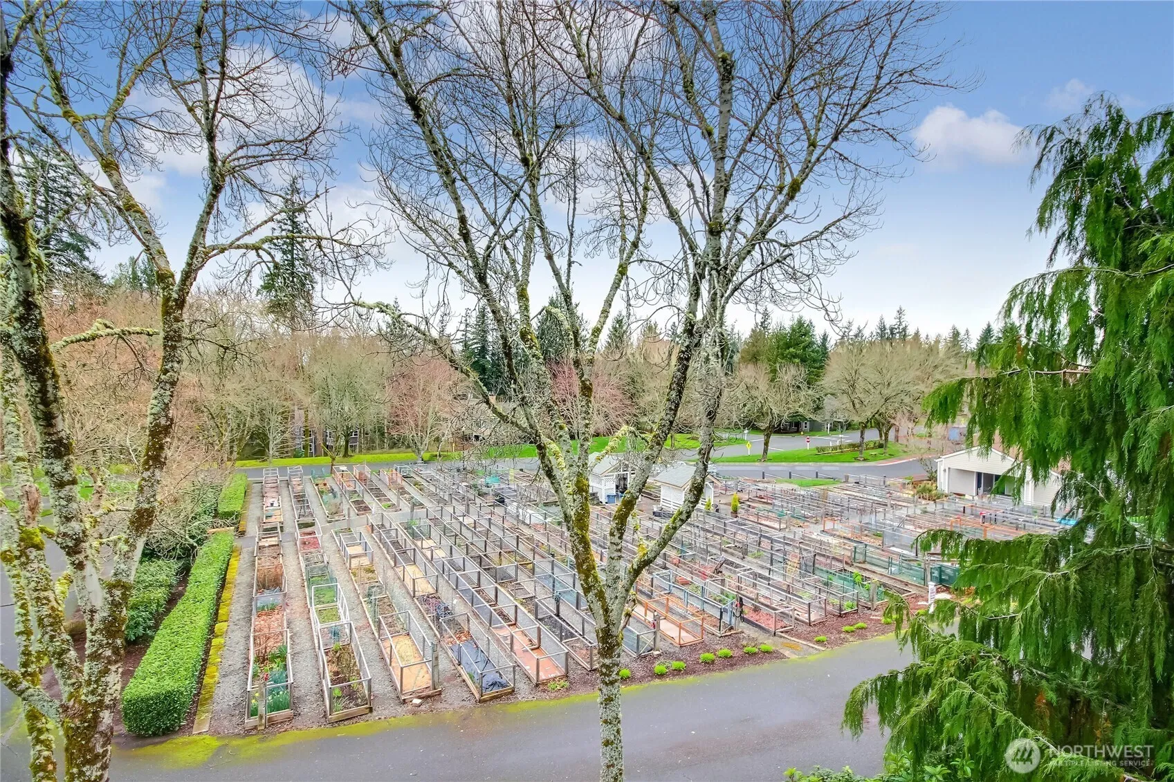 Property photo for 3935 226th Place Se #107, Issaquah photo 5