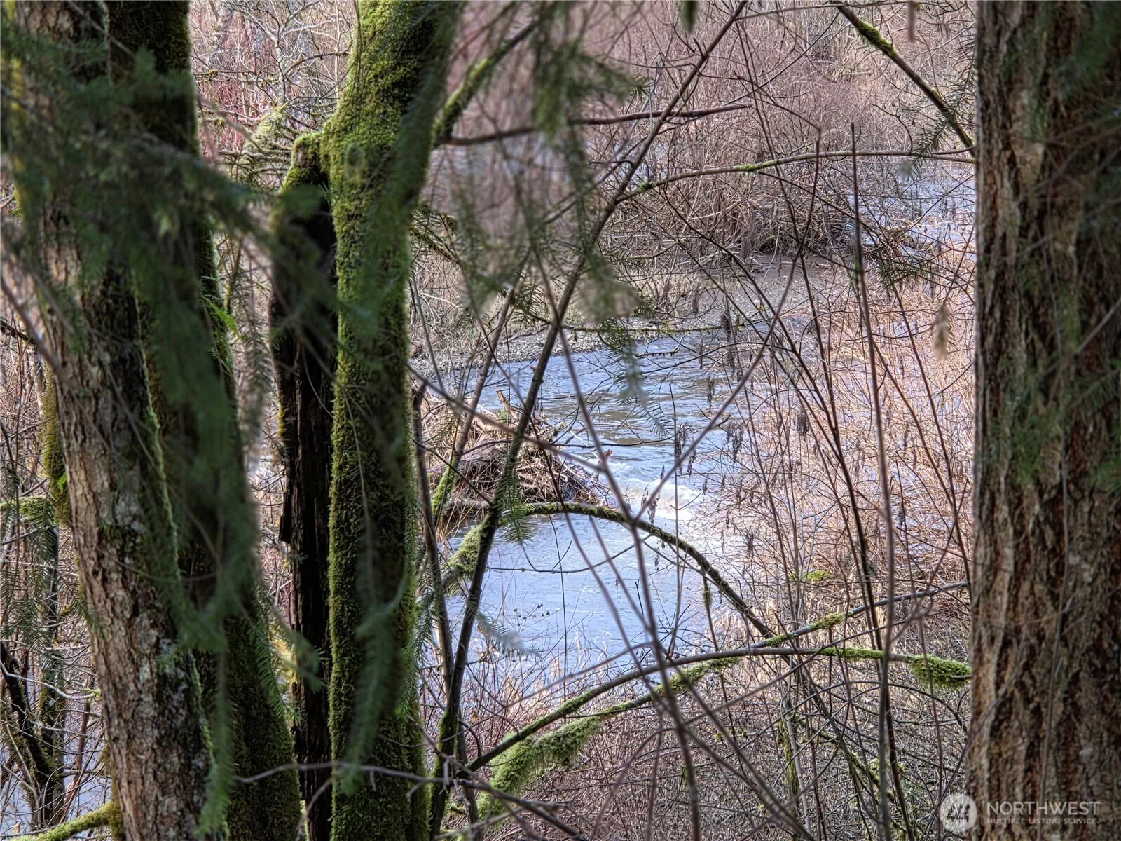 Property photo for 8021 Sw Treasure River Trail, Olympia