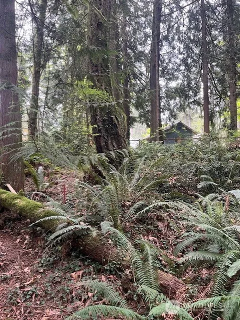 Property photo for 2902 136th Street Nw, Gig Harbor photo 4