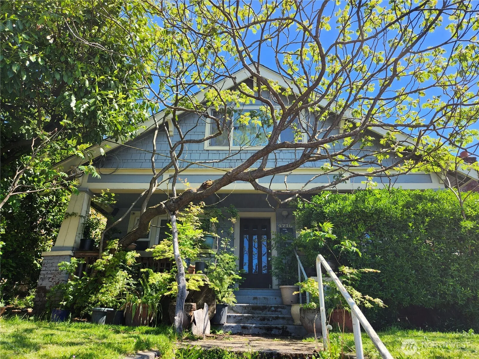 4716 7th Avenue Ne, Seattle