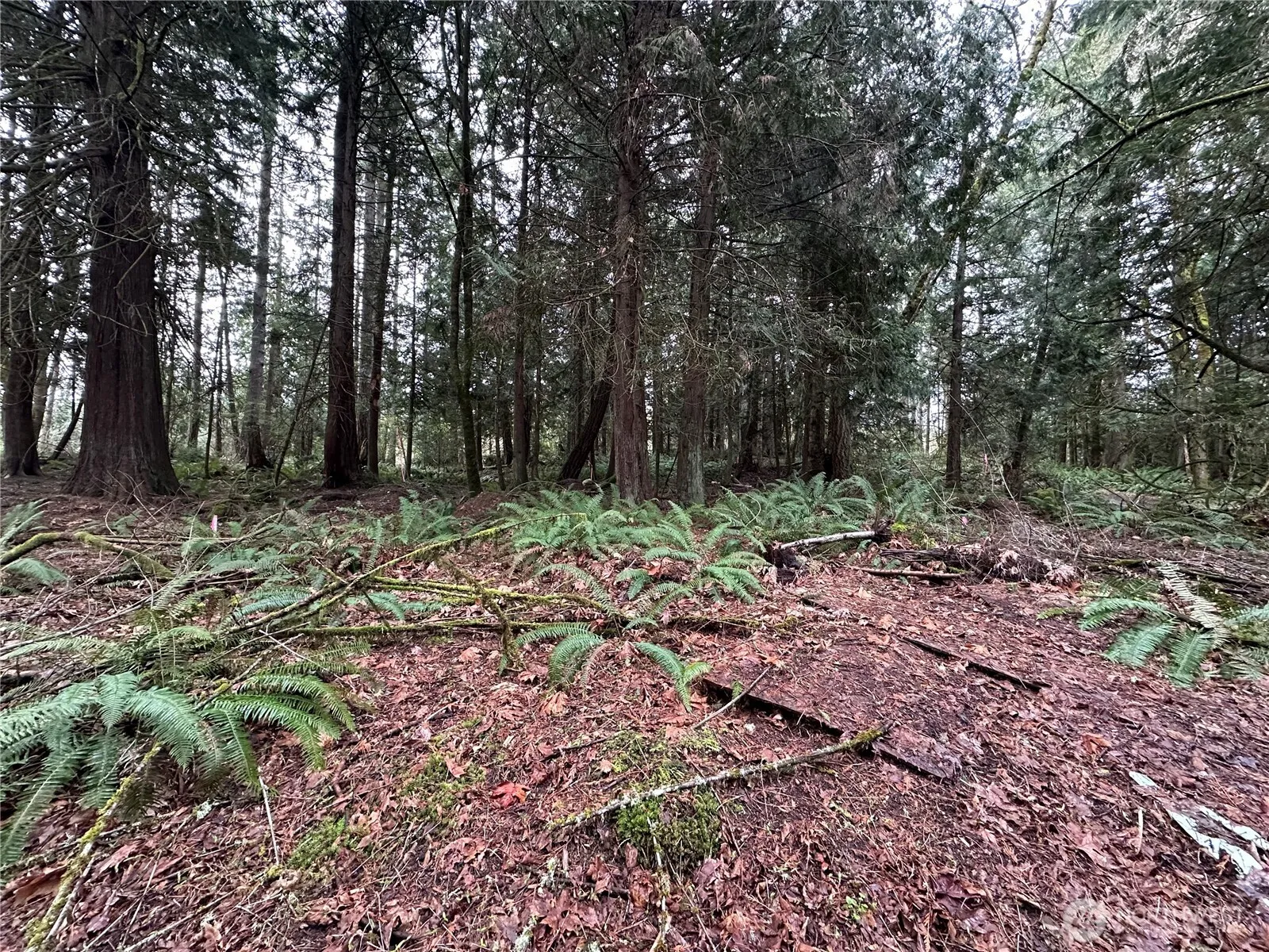 Property photo for 22 Lots Nevada Avenue E, Port Orchard photo 3