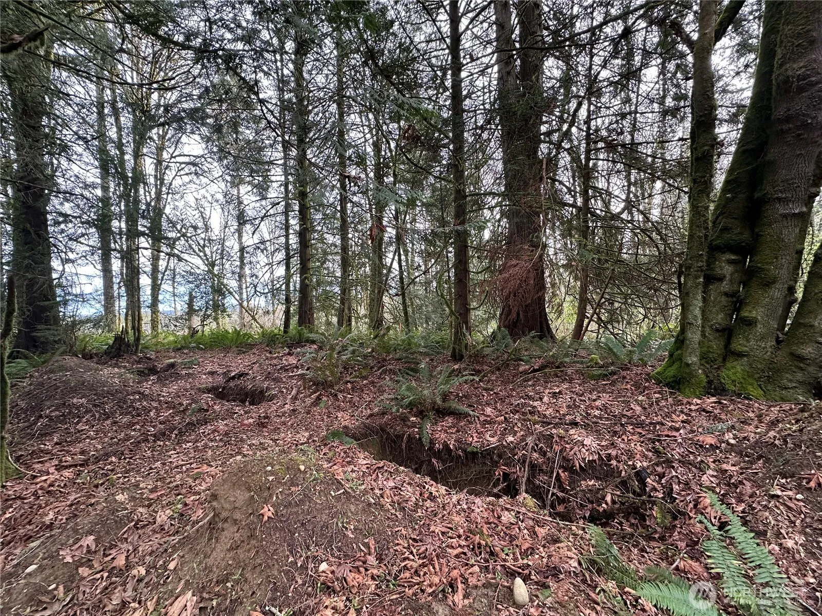 Property photo for 22 Lots Nevada Avenue E, Port Orchard photo 4