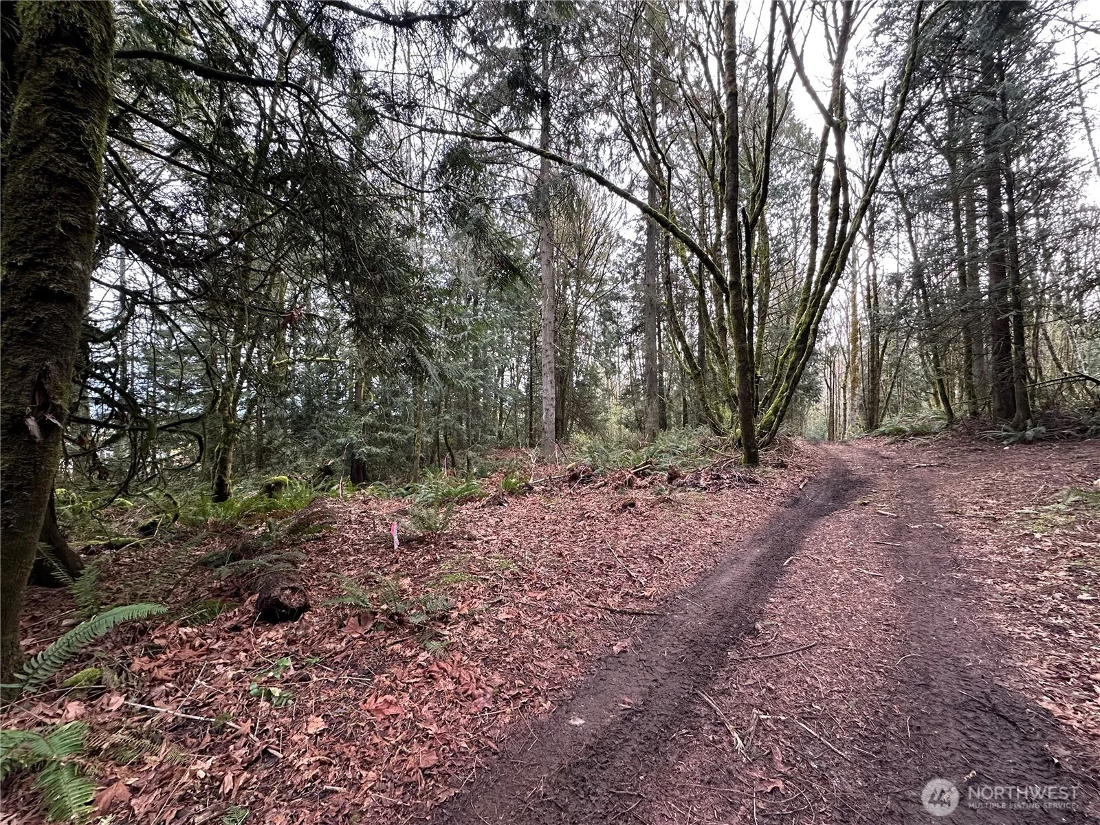 Property photo for 22 Lots Nevada Avenue E, Port Orchard
