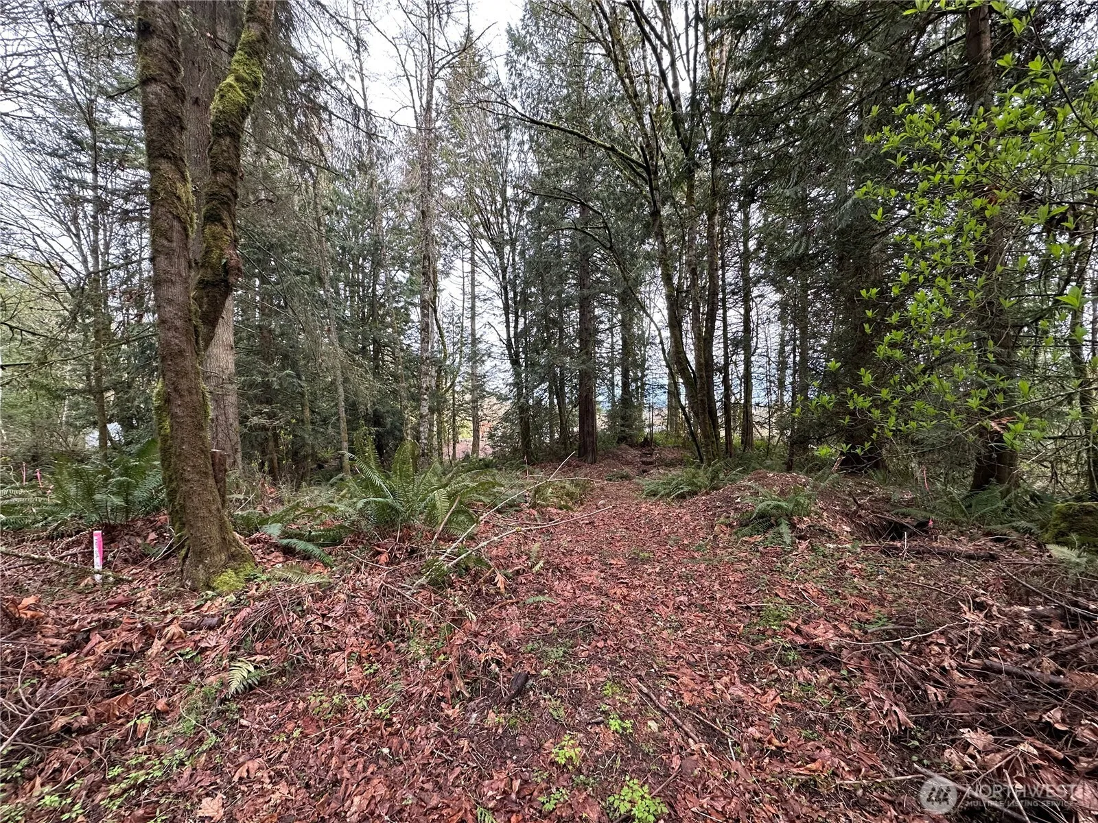 Property photo for 22 Lots Nevada Avenue E, Port Orchard photo 5