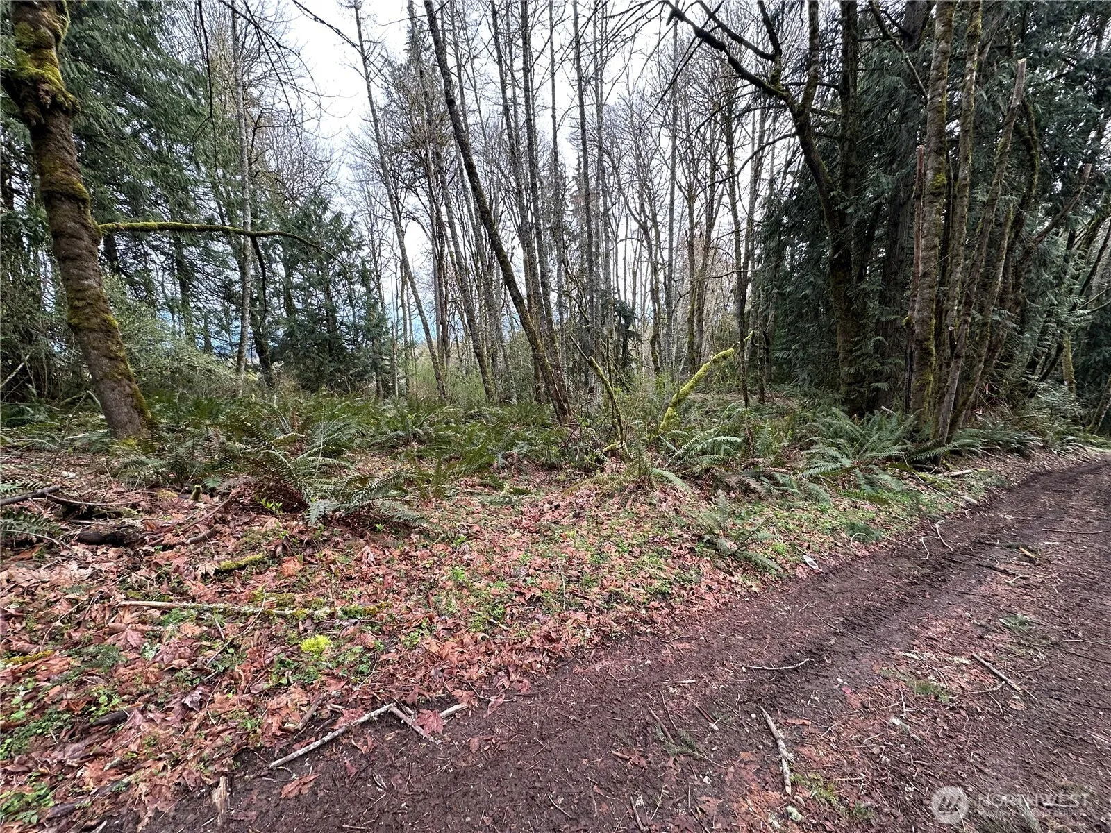 Property photo for 22 Lots Nevada Avenue E, Port Orchard photo 2