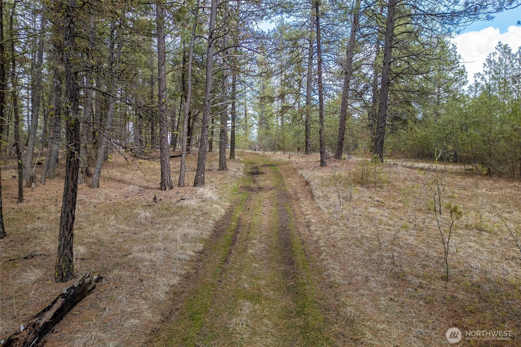Property photo for 8700 Stangland S, Medical Lake photo 2