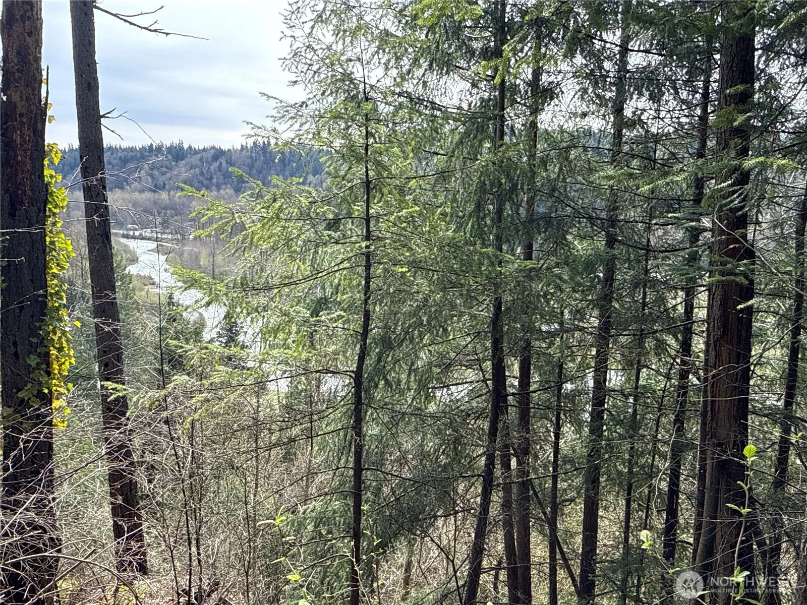 Property photo for 149 Xx 175th Avenue Se, Renton