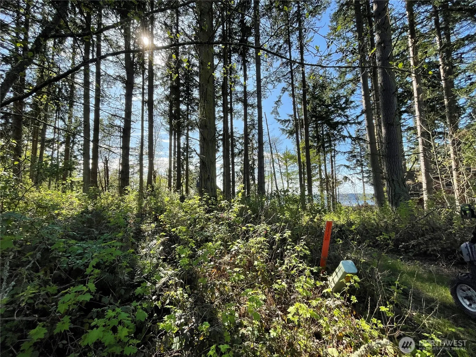 Property photo for 99 B Port Gardner Drive, Hat Island photo 5