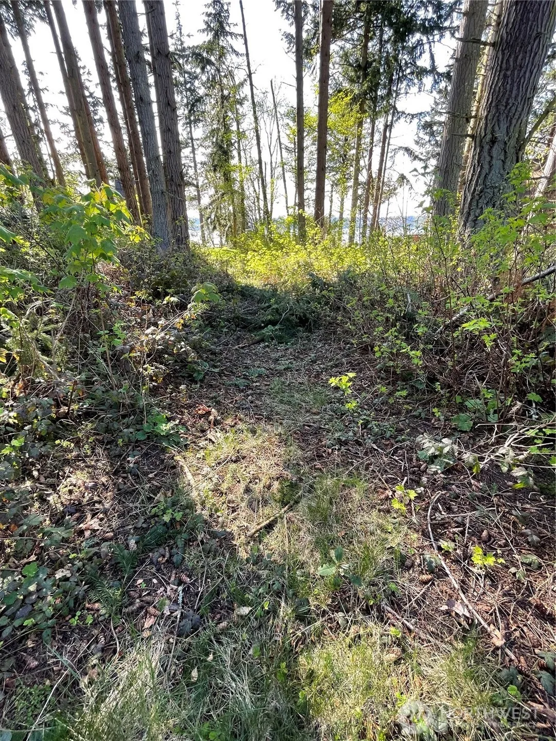 Property photo for 99 B Port Gardner Drive, Hat Island photo 4