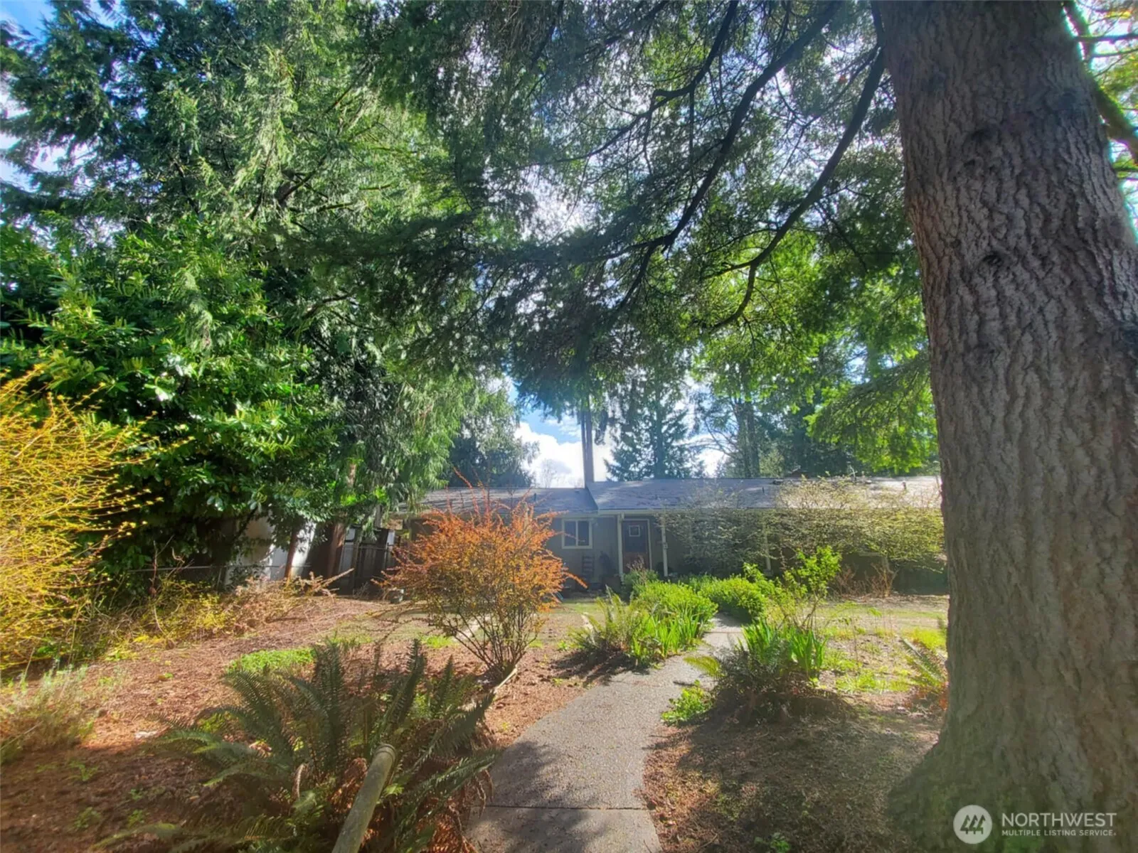 4709 Se 26th Avenue, Lacey