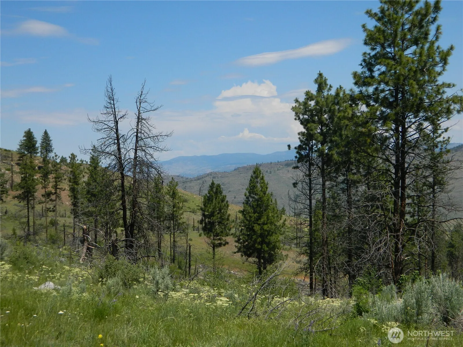 Property photo for 428 Five Mile Road, Tonasket photo 2