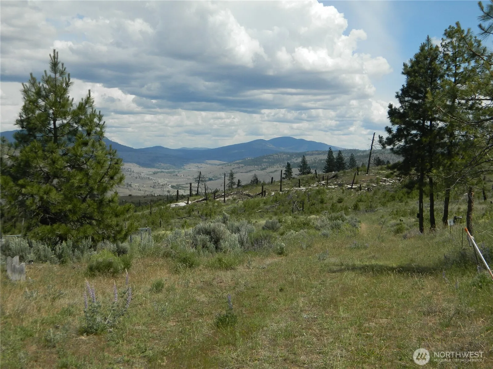 Property photo for 428 Five Mile Road, Tonasket photo 4