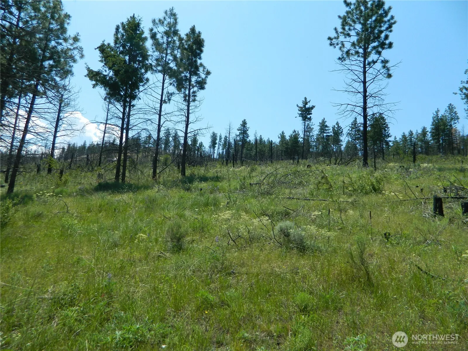 Property photo for 428 Five Mile Road, Tonasket photo 5