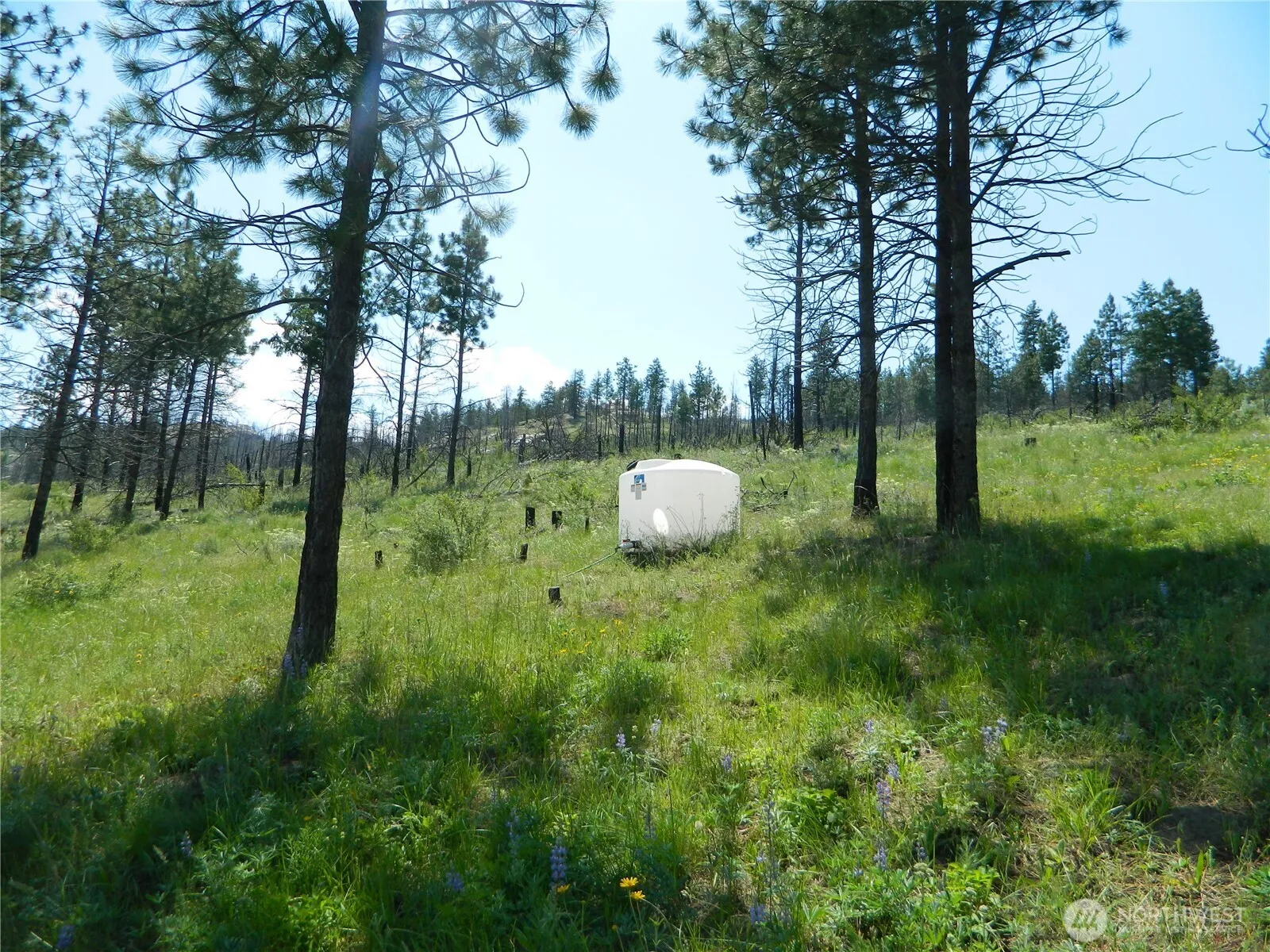 Property photo for 428 Five Mile Road, Tonasket photo 3