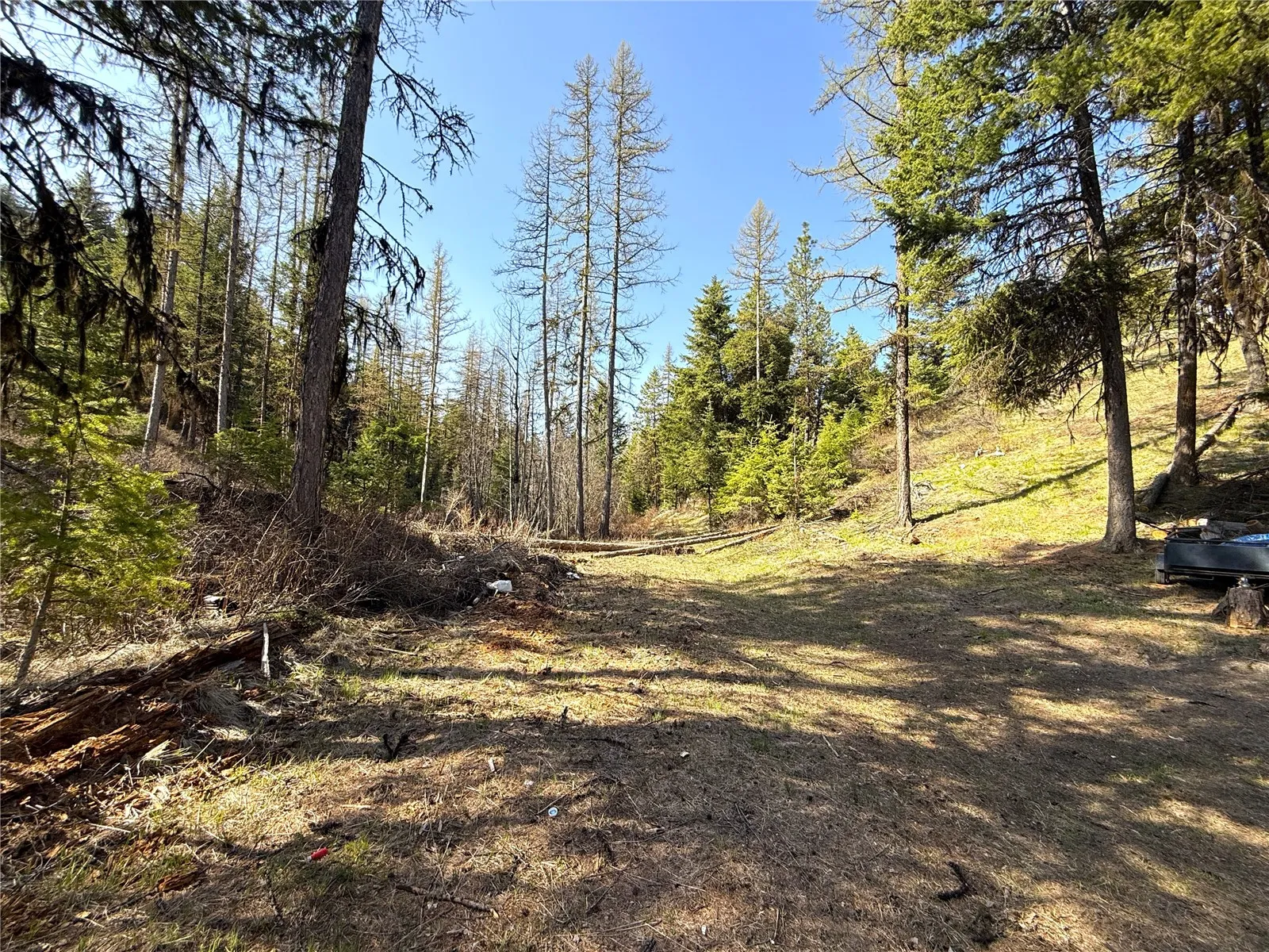Property photo for 0 Tbd Give Out Creek Road, Wauconda