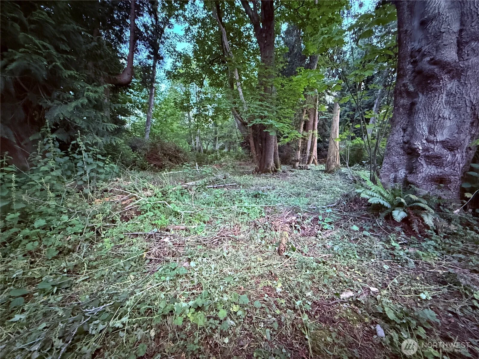 Property photo for 52 F Saratoga Drive, Hat Island
