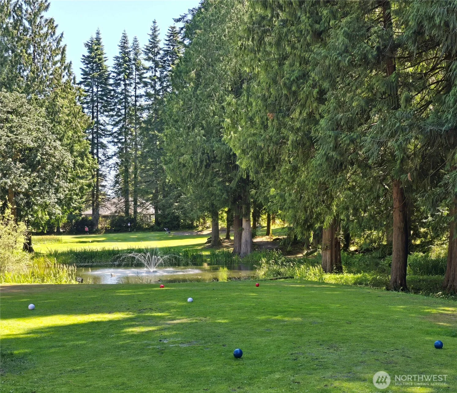 Property photo for 6206 Sw Tiger Tail Drive, Olympia photo 4