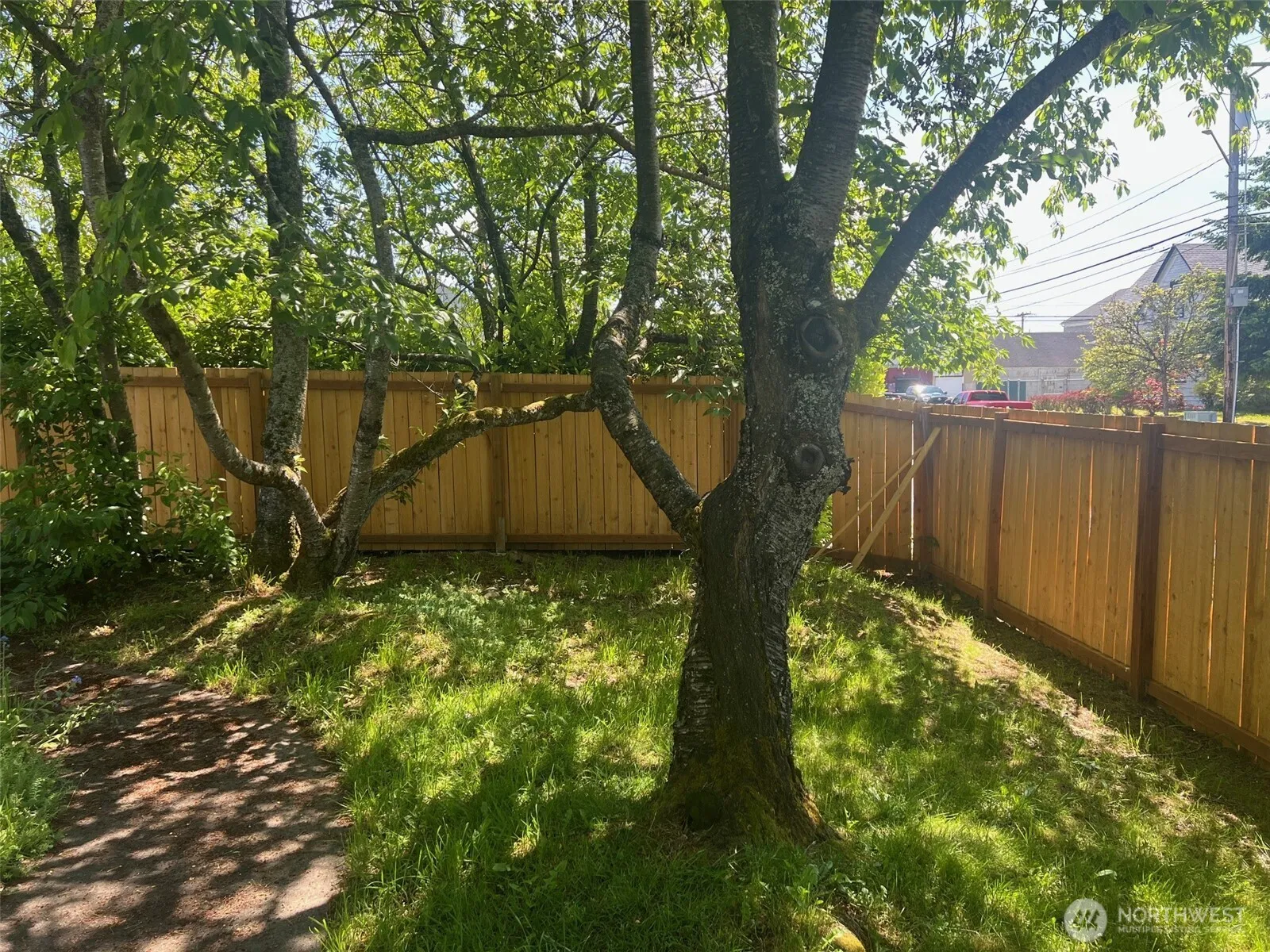Property photo for 1019 S Junett Street, Tacoma photo 5