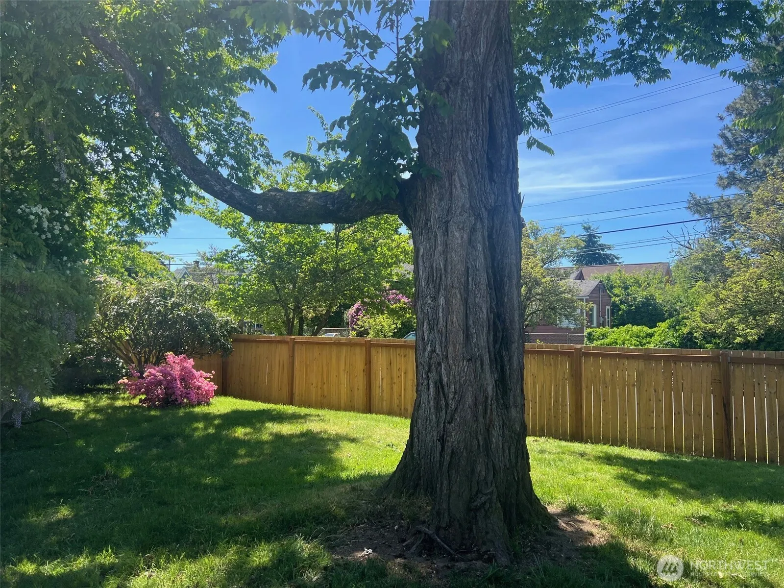 Property photo for 1019 S Junett Street, Tacoma photo 4