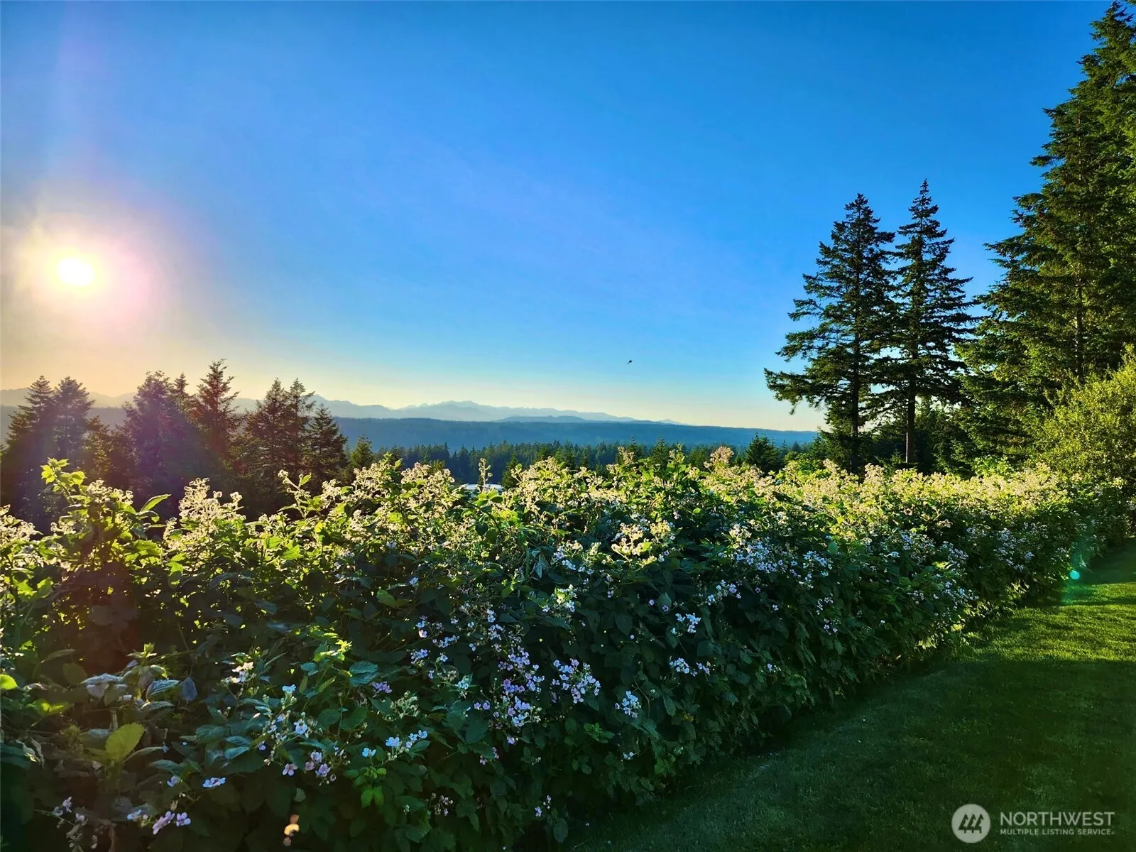 Property photo for 12908 57th Avenue Nw, Gig Harbor photo 3
