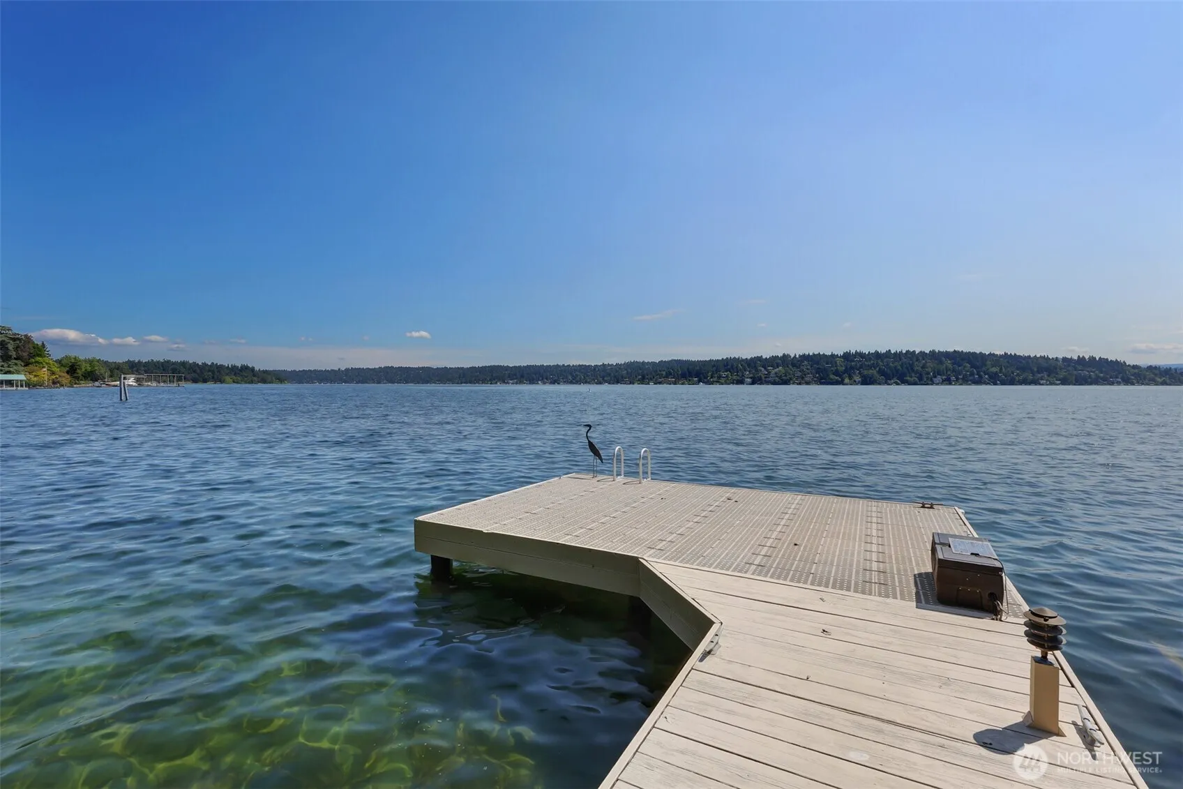 Property photo for 7716 Seward Park Avenue S, Seattle photo 4