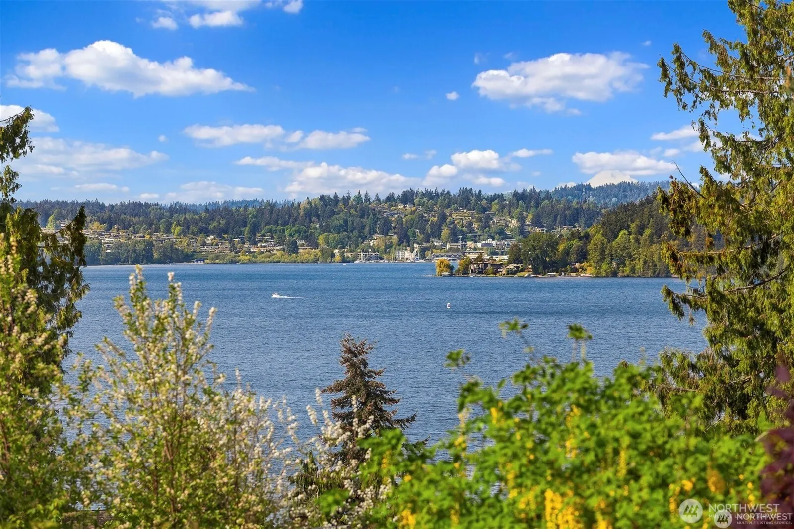 Property photo for 10762 Exeter Avenue Ne, Seattle