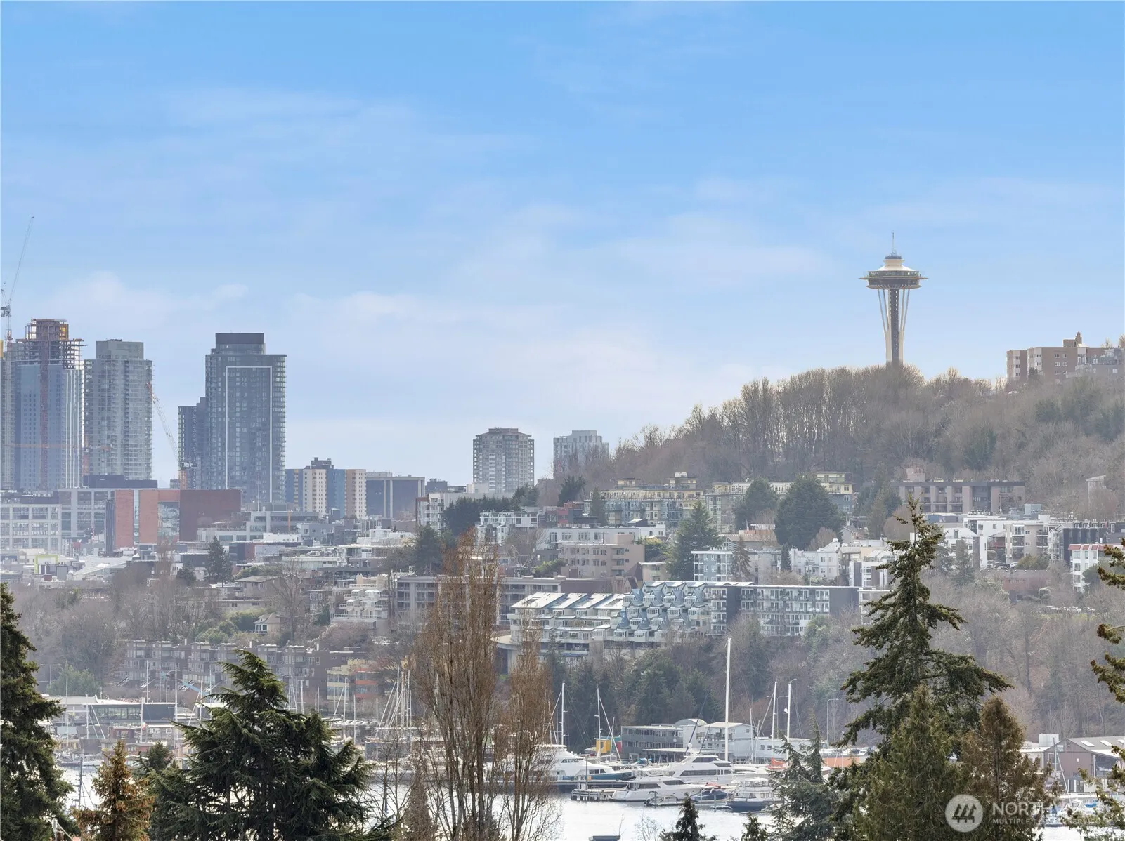Property photo for 3851 Woodlawn Avenue N, Seattle photo 4