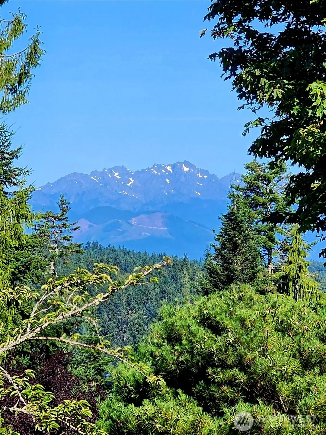 Property photo for 7008 Cormorant Place, Bremerton photo 3