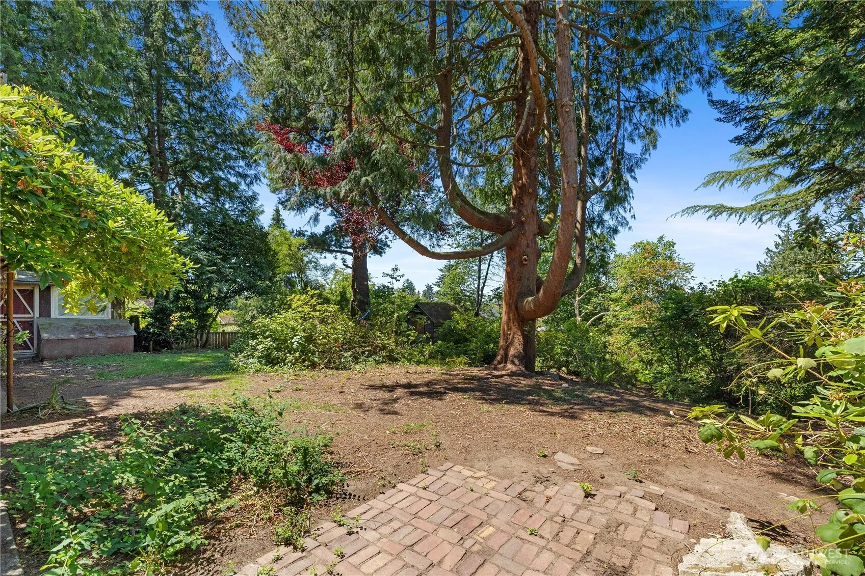 Property photo for 12045 8th Avenue Nw, Seattle photo 4