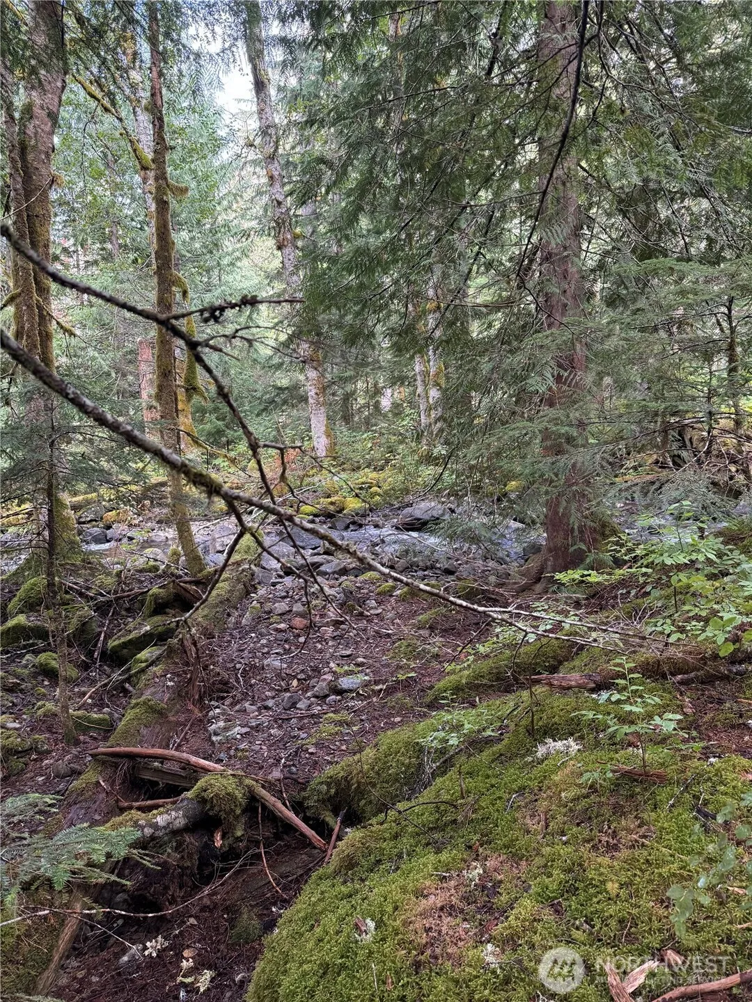 Property photo for 0 Mountain Loop Highway, Granite Falls photo 4