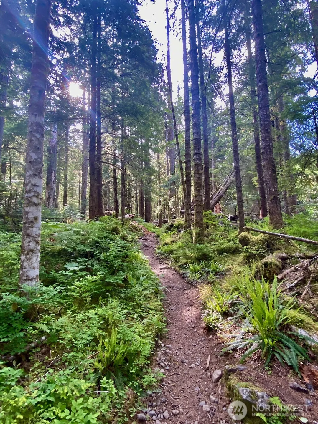 Property photo for 0 Mountain Loop Highway, Granite Falls photo 3