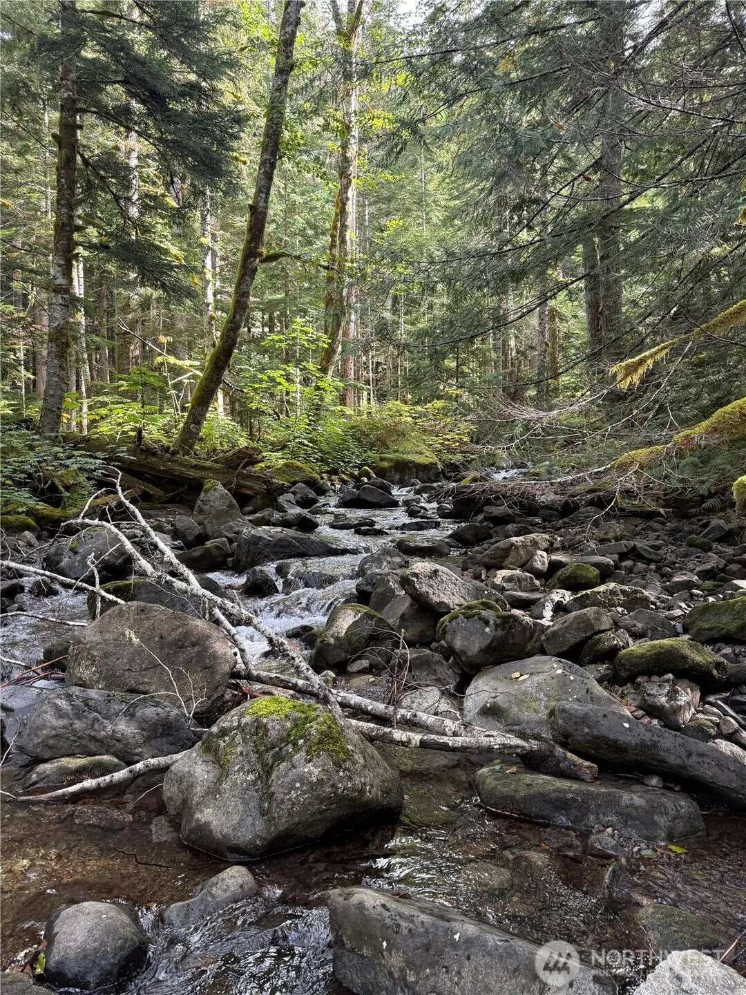 Property photo for 0 Mountain Loop Highway, Granite Falls photo 5