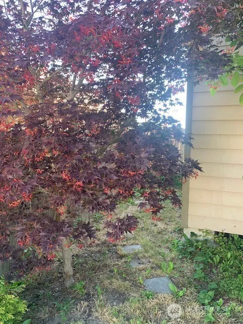Property photo for 4405 E I, Tacoma photo 5