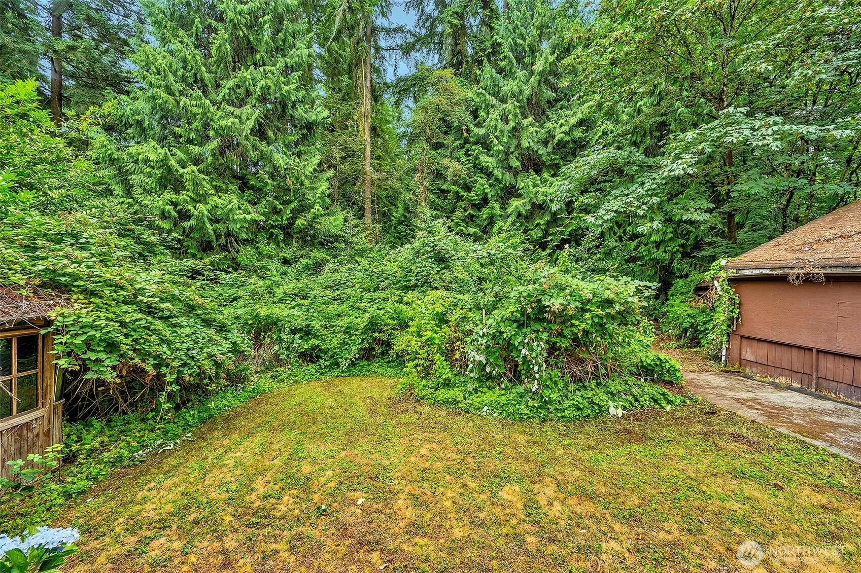Property photo for 13819 Ne 80th Street, Redmond photo 5