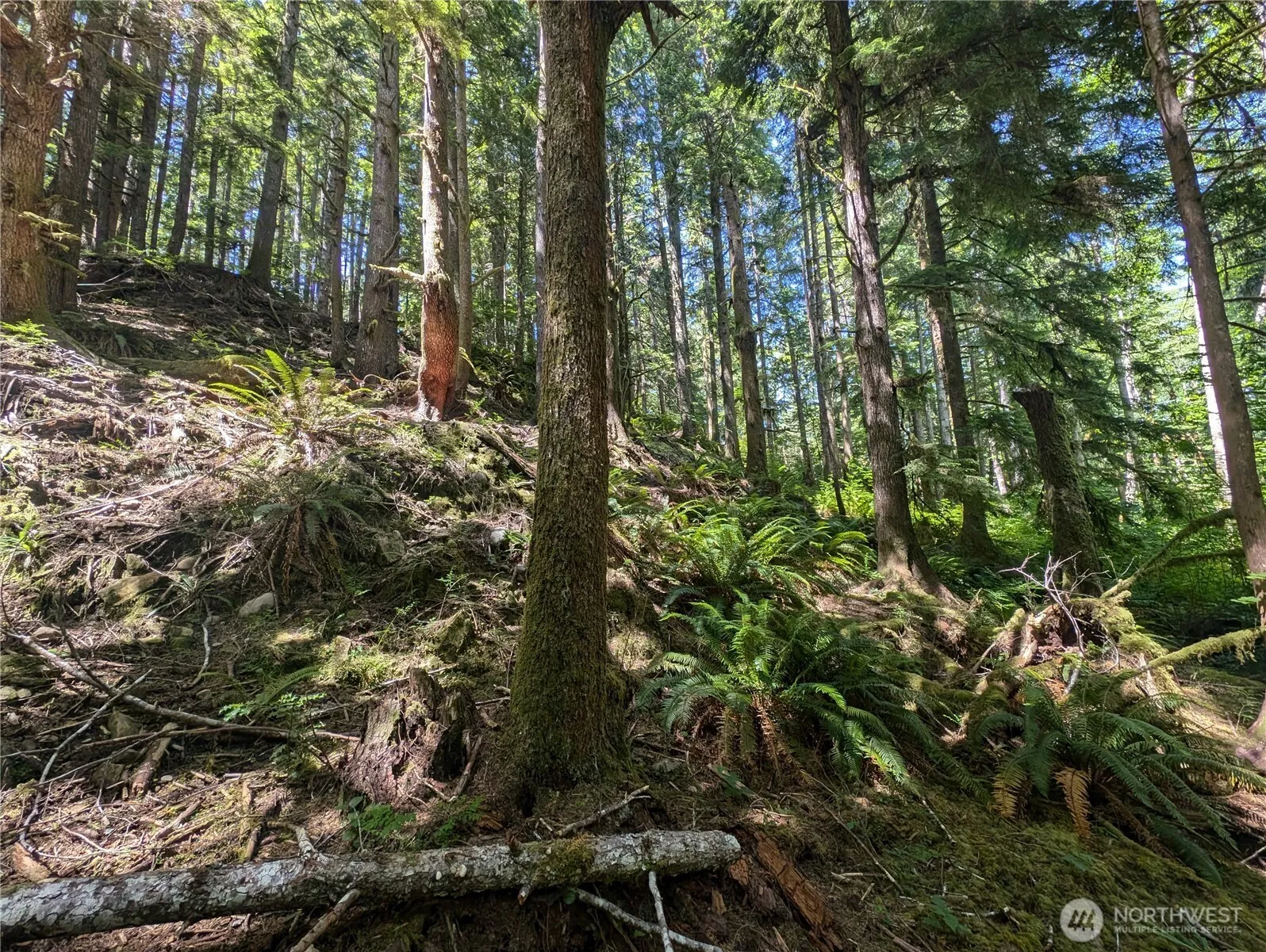Property photo for 999 Kallman Road, Forks