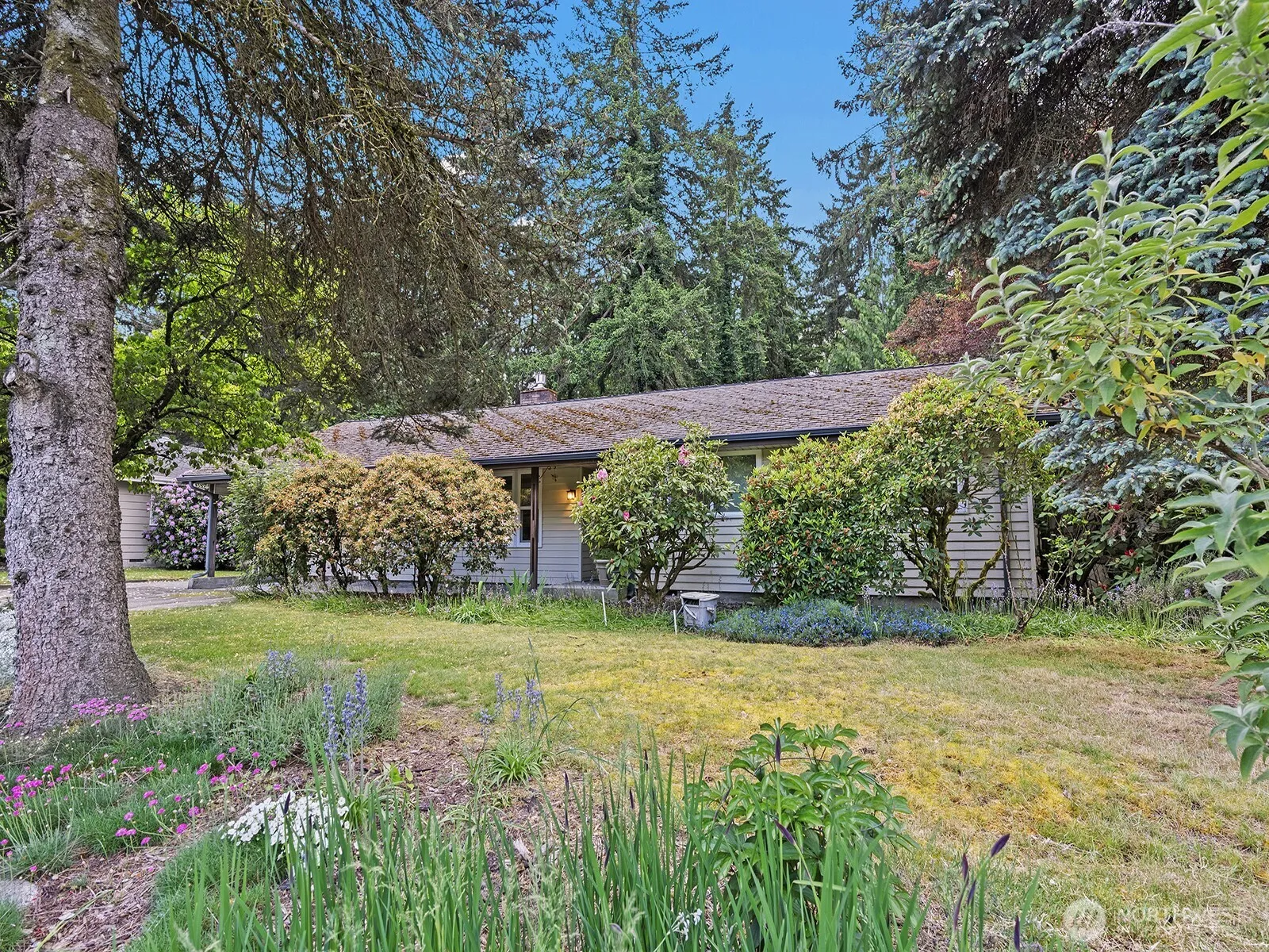 5059 119th Avenue Se, Bellevue