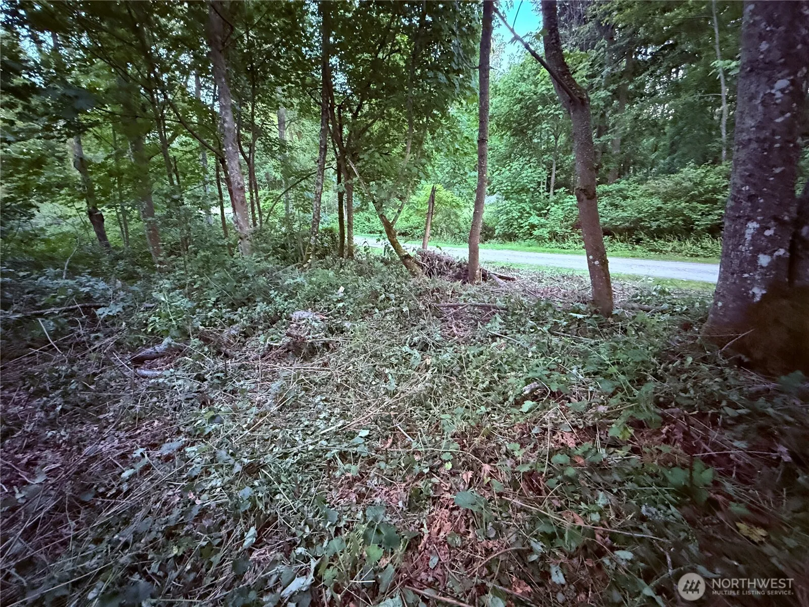Property photo for 32 K Beach Way, Hat Island photo 5